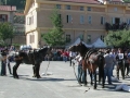Sicignano degli Alburni